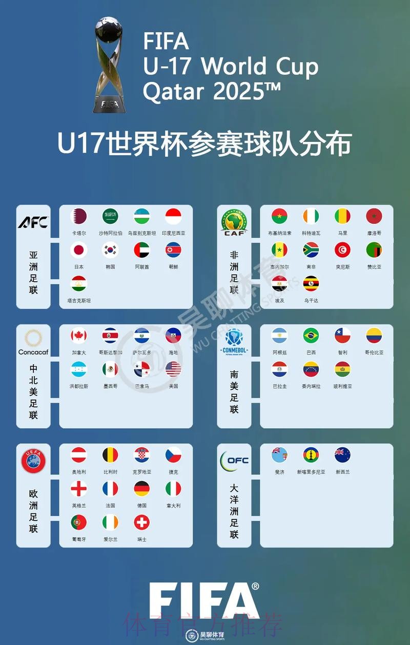 全面解析世界杯参赛球队信息